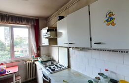 Apartament de 2 camere, compartimentare semidecomandată, zona străzii Brancuși