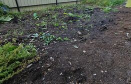 Oportunitate! Casa cu 4 camere, garaj, zona Terra