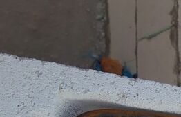 Casa pe un singur nivel, 102 mp utili, teren de 642 mp