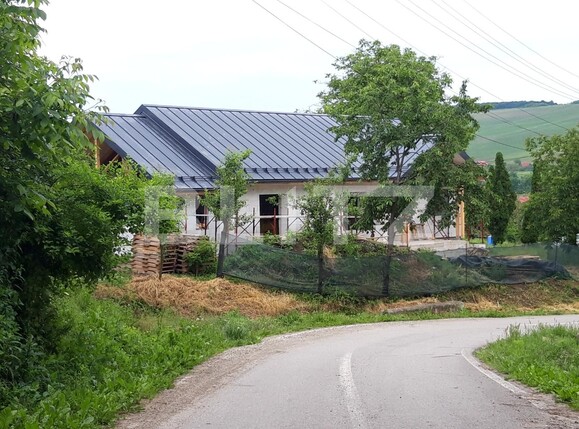 Casa de vânzare 3 camere Pata - 97765CV | BLITZ Cluj-Napoca | Poza8