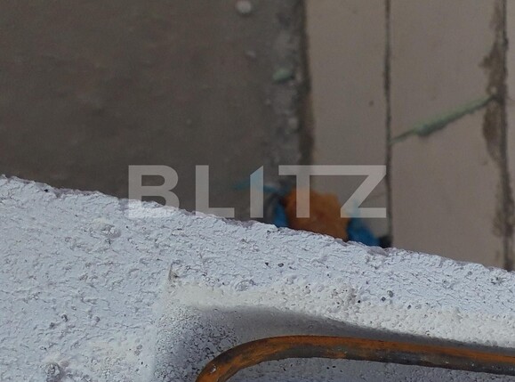 Casa de vânzare 3 camere Pata - 97765CV | BLITZ Cluj-Napoca | Poza13