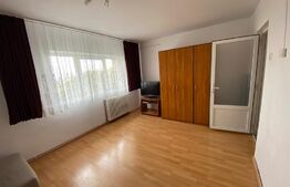 Apartament 2 camere, decomandat, 54mp, balcon, pet friendly, zona UMF