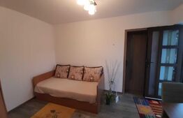 Garsoniera de 27mp, gradina, parcare, preluare chiriasi, zona Vivo