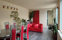 Casa individuala 240 mp, teren 500 mp, Dambul Rotund