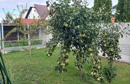 Casa individuala, 3 camere, 100 mp, 850 mp teren, zona Bod