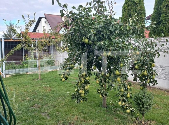 Casa de vânzare 3 camere Bod - 97835CV | BLITZ Brașov | Poza13