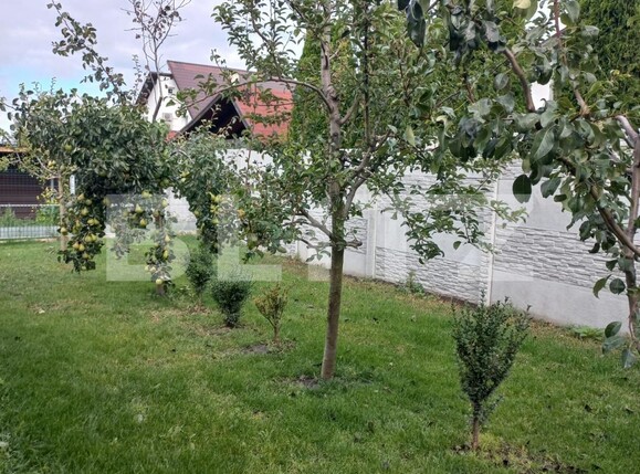 Casa de vânzare 3 camere Bod - 97835CV | BLITZ Brașov | Poza12