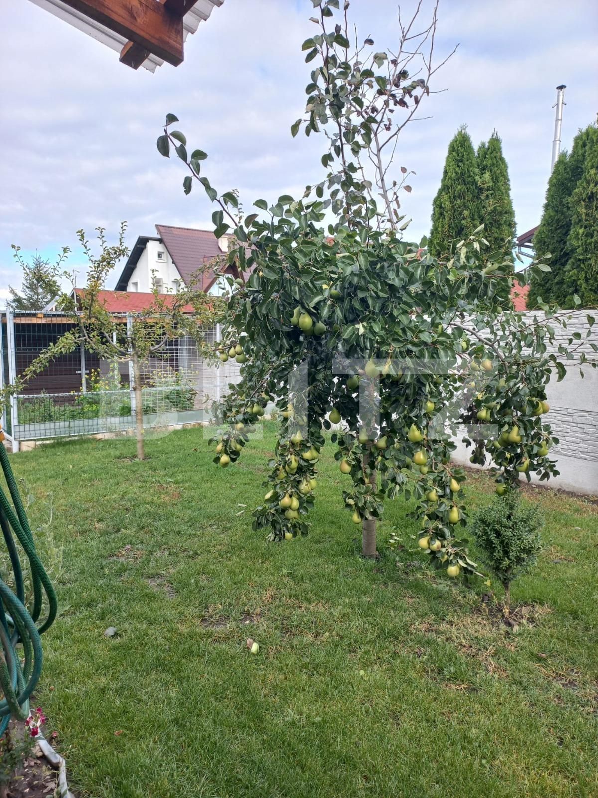 Casa de vânzare 3 camere Bod - 97835CV | BLITZ Brașov | Poza13