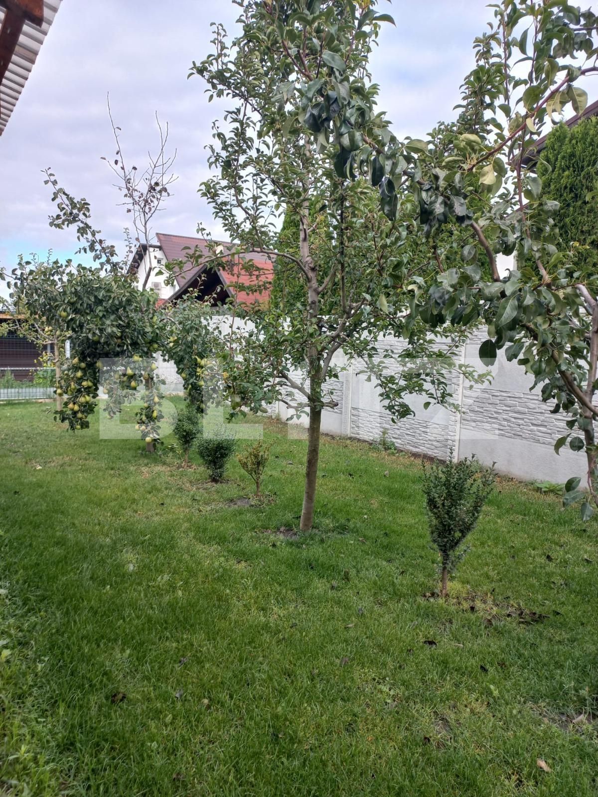 Casa de vânzare 3 camere Bod - 97835CV | BLITZ Brașov | Poza12