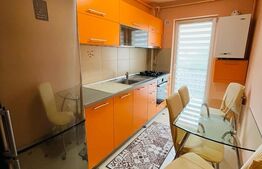 Apartament 2 camere, 50mp, parcare, zona Muzeul Apei 