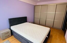 Apartament 2 camere, 50mp, parcare, zona Muzeul Apei 