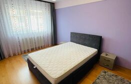 Apartament 2 camere, 50mp, parcare, zona Muzeul Apei 