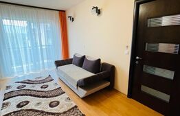 Apartament 2 camere, 50mp, parcare, zona Muzeul Apei 