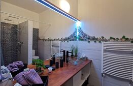 Casa 300 mp utili, 1000 mp curte, zona strazii Gruia