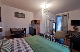 Casa 300 mp utili, 1000 mp curte, zona strazii Gruia