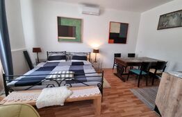 Casa 300 mp utili, 1000 mp curte, zona strazii Gruia