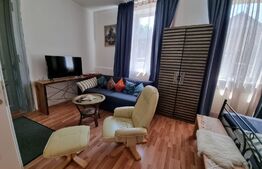 Casa 300 mp utili, 1000 mp curte, zona strazii Gruia