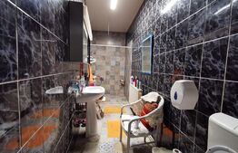 Casa 300 mp utili, 1000 mp curte, zona strazii Gruia