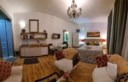 Casa 300 mp utili, 1000 mp curte, zona strazii Gruia