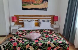 Casa 300 mp utili, 1000 mp curte, zona strazii Gruia
