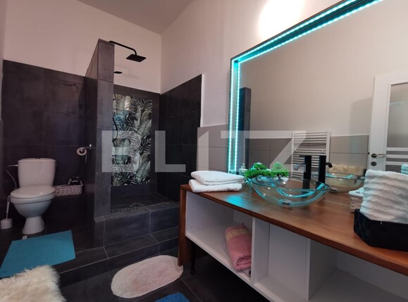 Casa de închiriat 5 camere Central - 97883CI | BLITZ Cluj-Napoca | Poza15