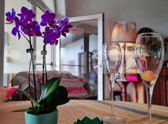 Casa de închiriat 5 camere Central - 97883CI | BLITZ Cluj-Napoca | Poza4