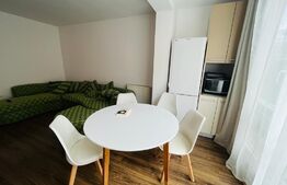 Apartament 2 camere, mobilat, etaj intermediar, zona Porii