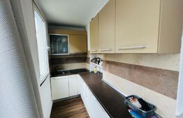 Apartament 2 camere, mobilat, etaj intermediar, zona Porii