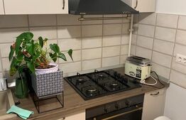 Apartament de 2 camere, lux, 54 mp, parcare, zona Parcului Central