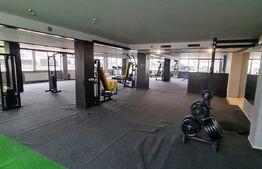 Spatiu comercial, 350 mp, zona Tineretului