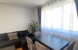Apartament 3 camere mobilat, preluare chiriasi, parcare ,Zona Tineretului 