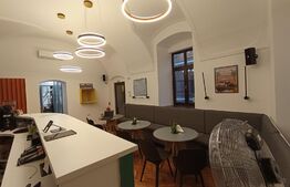 Spatiu comercial, 50 mp, zona Piata Muzeului