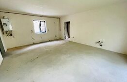 Apartament 2 camere, gradina, parcare, zona Muzeul Apei