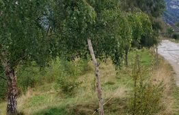 Teren extravilan, 6.077 mp, Moieciu Pestera