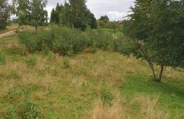 Teren extravilan, 6.077 mp, Moieciu Pestera