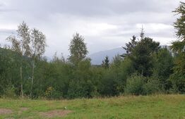 Teren extravilan, 6.077 mp, Moieciu Pestera