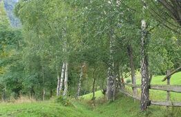 Teren extravilan, 14.919 mp, Moieciu Pestera