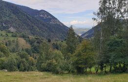 Teren extravilan, 14.919 mp, Moieciu Pestera