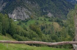 Teren extravilan, 14.919 mp, Moieciu Pestera