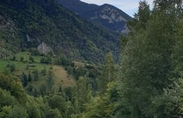 Teren extravilan, 14.919 mp, Moieciu Pestera