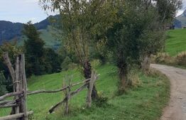 Teren extravilan, 14.919 mp, Moieciu Pestera