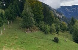 Teren extravilan, 14.919 mp, Moieciu Pestera