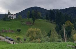 Teren extravilan, 14.919 mp, Moieciu Pestera