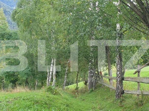 Teren de vânzare Moieciu - 97988TV | BLITZ Brașov | Poza16