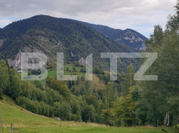 Teren de vânzare Moieciu - 97988TV | BLITZ Brașov | Poza15