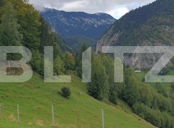 Teren de vânzare Moieciu - 97988TV | BLITZ Brașov | Poza12