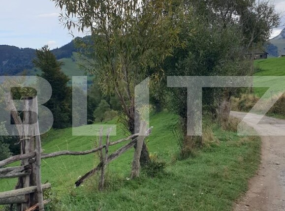 Teren de vânzare Moieciu - 97988TV | BLITZ Brașov | Poza11