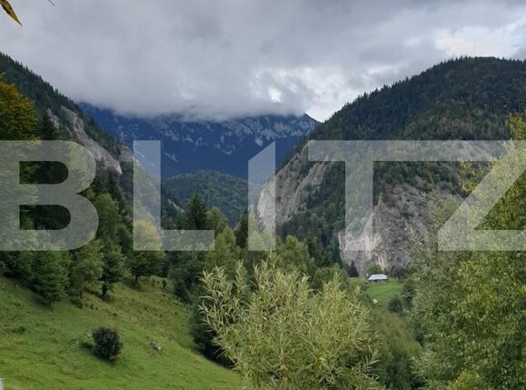 Teren de vânzare Moieciu - 97988TV | BLITZ Brașov | Poza5