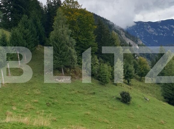 Teren de vânzare Moieciu - 97988TV | BLITZ Brașov | Poza8