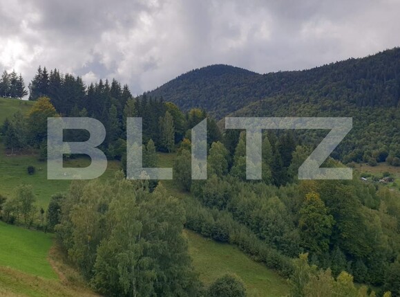 Teren de vânzare Moieciu - 97988TV | BLITZ Brașov | Poza3